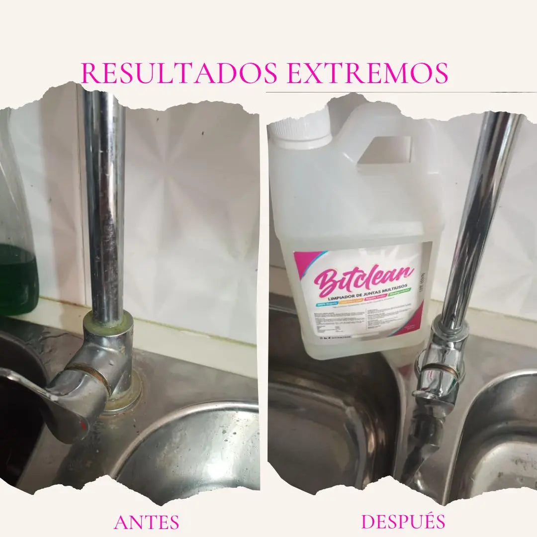 bitclean limpiador de juntas multiusos X 2 litros